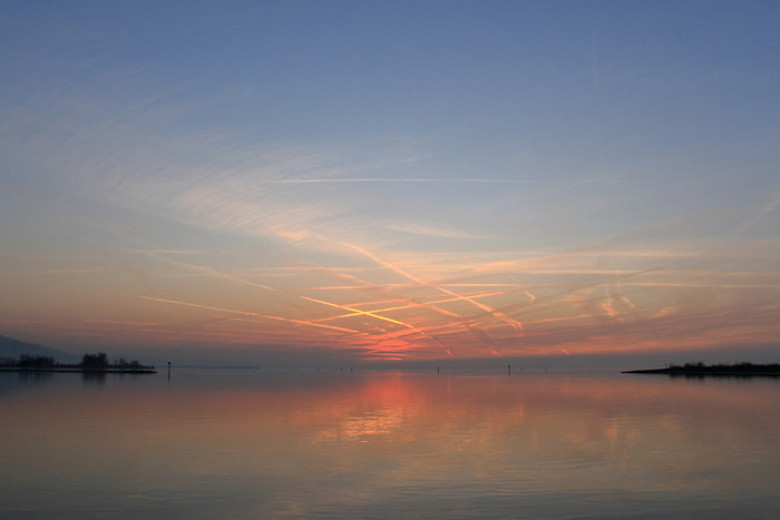Ein Abend im Naturschutzgebiet Rheindelta
