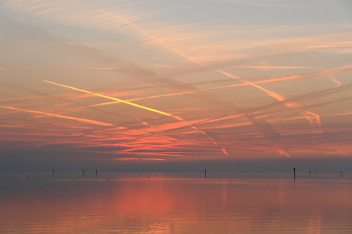 Ein Abend im Naturschutzgebiet Rheindelta