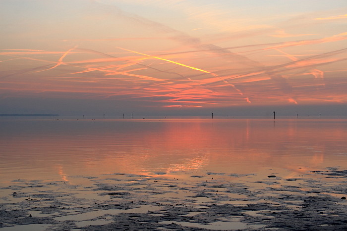 Ein Abend im Naturschutzgebiet Rheindelta