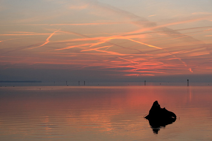 Ein Abend im Naturschutzgebiet Rheindelta