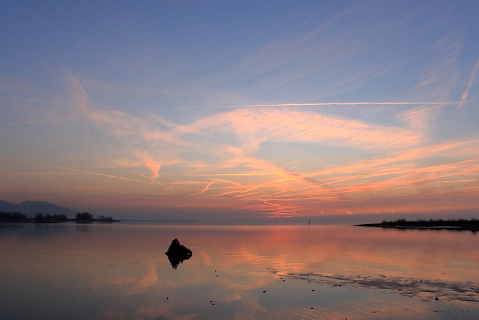 Ein Abend im Naturschutzgebiet Rheindelta