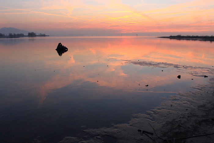 Ein Abend im Naturschutzgebiet Rheindelta