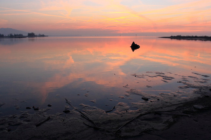 Ein Abend im Naturschutzgebiet Rheindelta