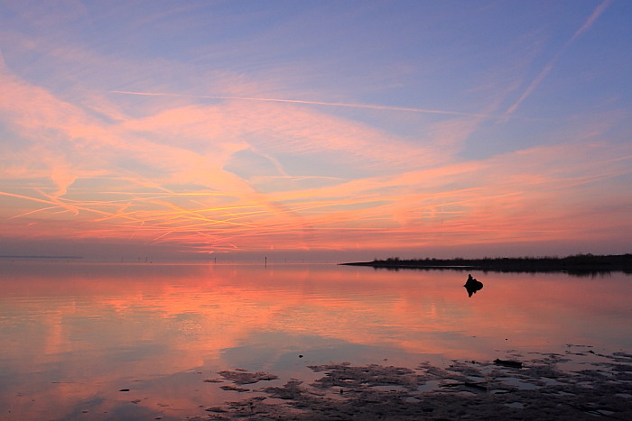 Ein Abend im Naturschutzgebiet Rheindelta